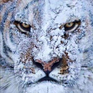 Meet your Posher, Spencer